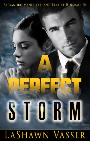 [Storm 02] • A Perfect Storm